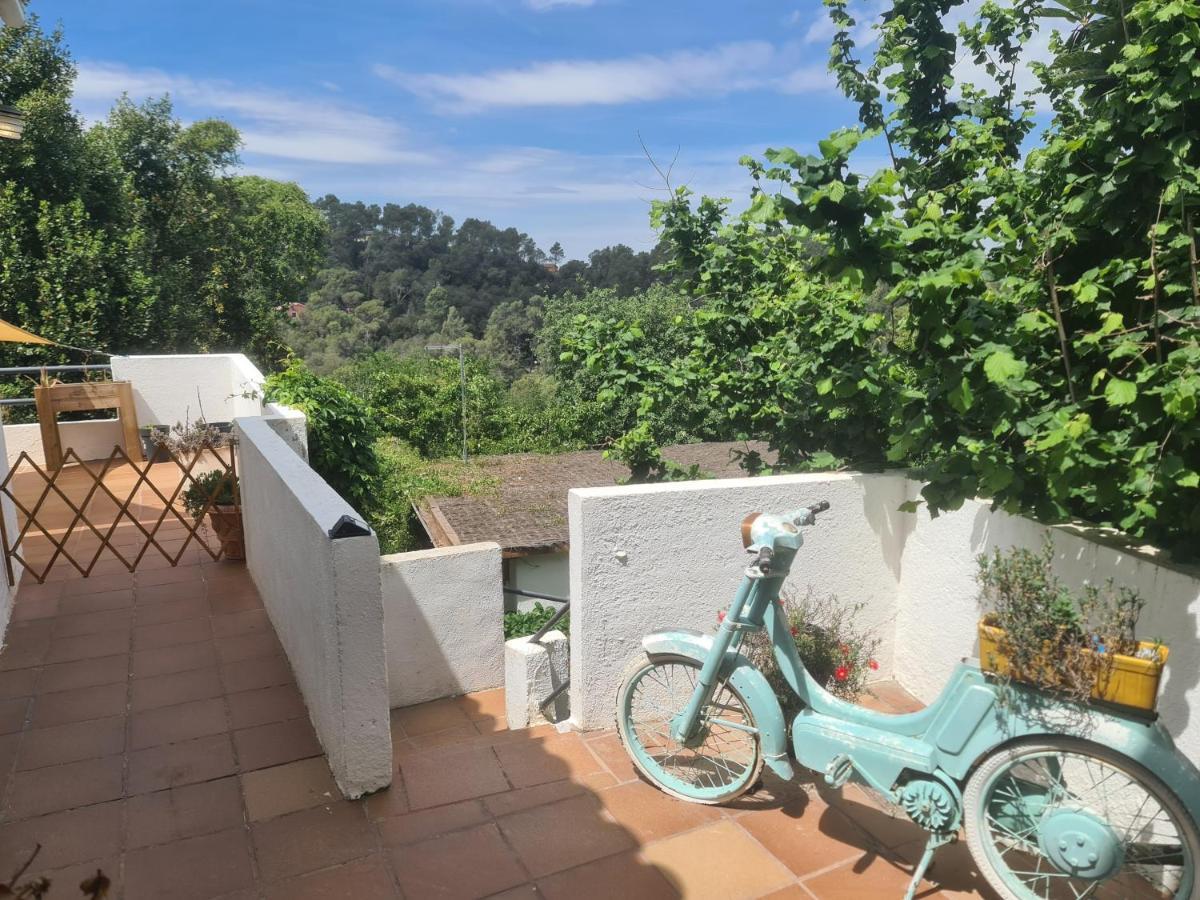 Nature Oasis Near Barcelona With Swimming Pool Parties Not Allowed Sant Cugat del Vallès Εξωτερικό φωτογραφία