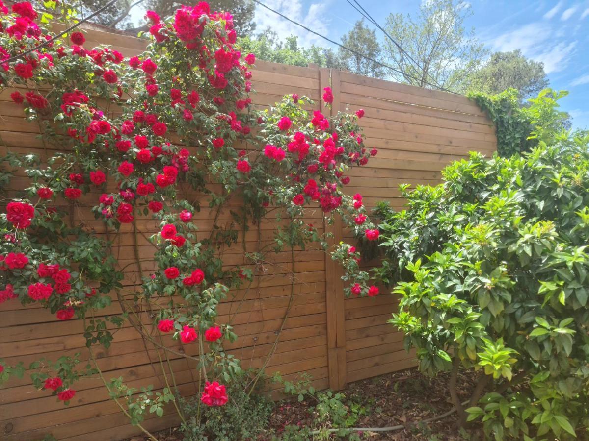 Nature Oasis Near Barcelona With Swimming Pool Parties Not Allowed Sant Cugat del Vallès Εξωτερικό φωτογραφία